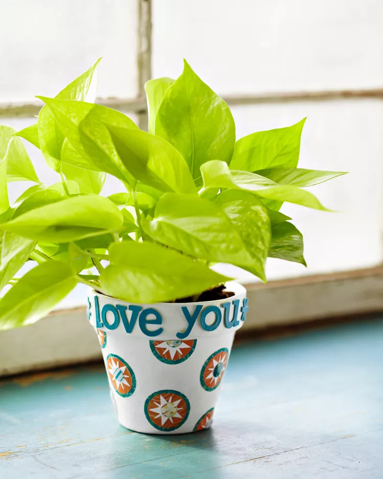 Father’s-day-plant A bright green plant sit in a decorated pot that says "Love you" as an example of father's day gifts for kids