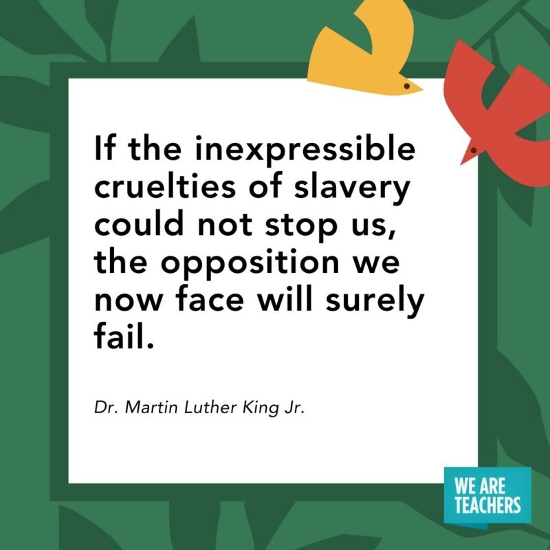  If the inexpressible cruelties of slavery could not stop us, the opposition we now face will surely fail. — Dr. Martin Luther King Jr.