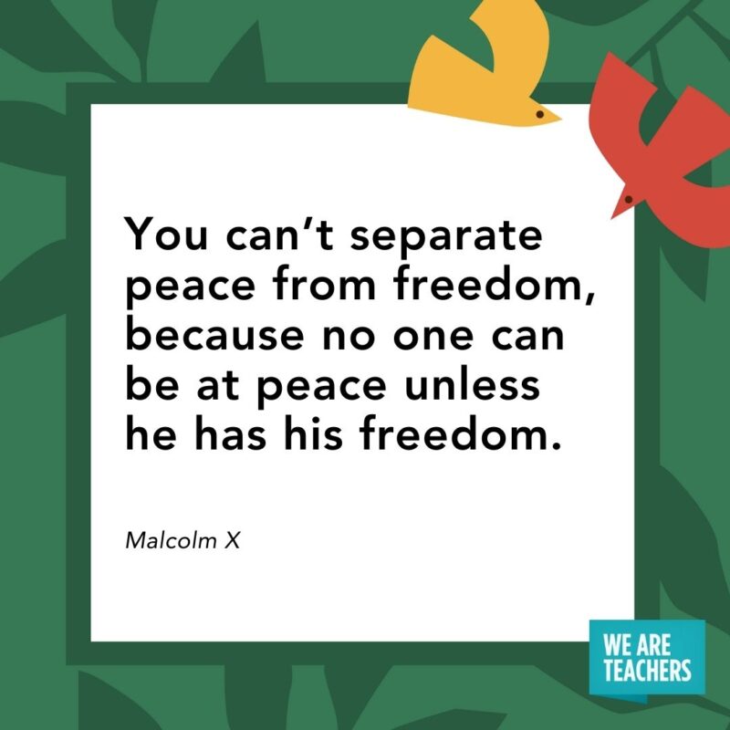 You can’t separate peace from freedom, because no one can be at peace unless he has his freedom. — Malcolm X