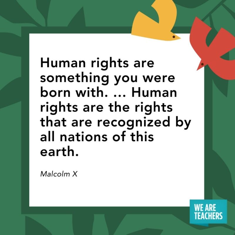 Human rights are something you were born with. ... Human rights are the rights that are recognized by all nations of this earth. — Malcolm X