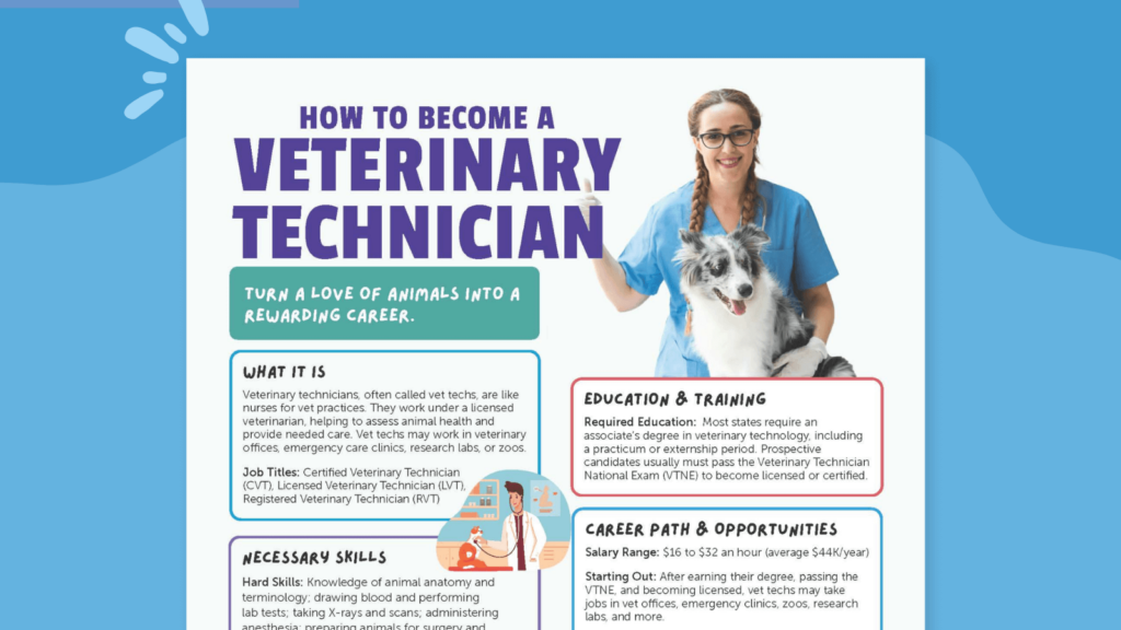 How to become a Vet Tech