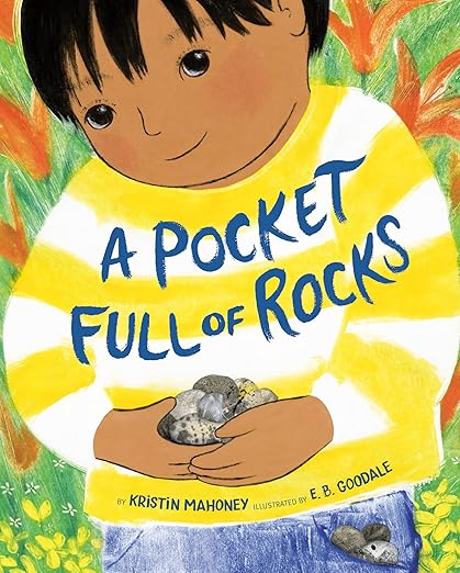 rocks a pocket full of rocks book cover