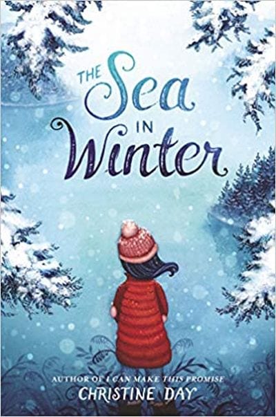 Summer Reading List The Sea in Winter The Sea in Winter book cover