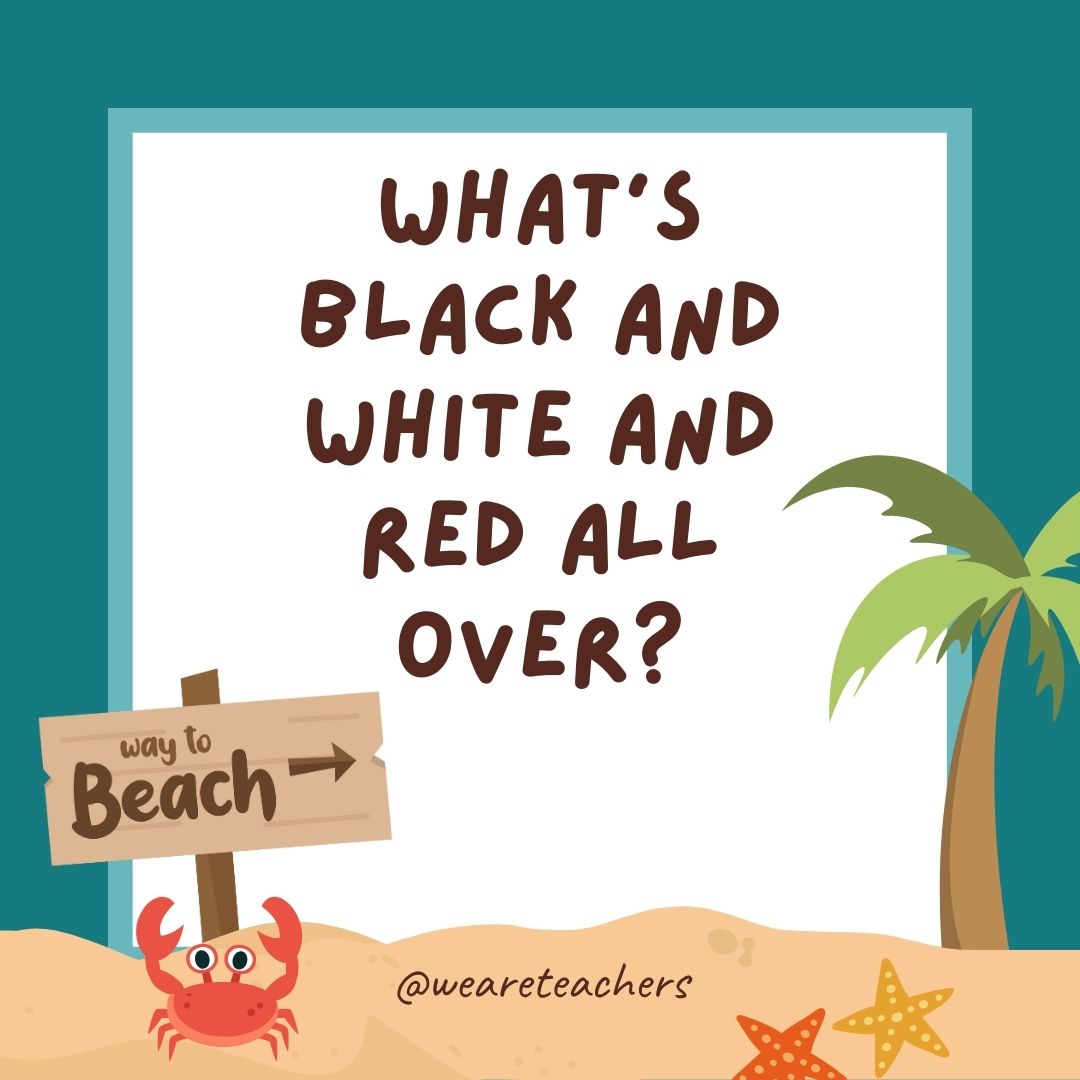 Jokes about summer: What’s black and white and red all over? A zebra with a sunburn. Jokes about summer: What’s black and white and red all over? A zebra with a sunburn.