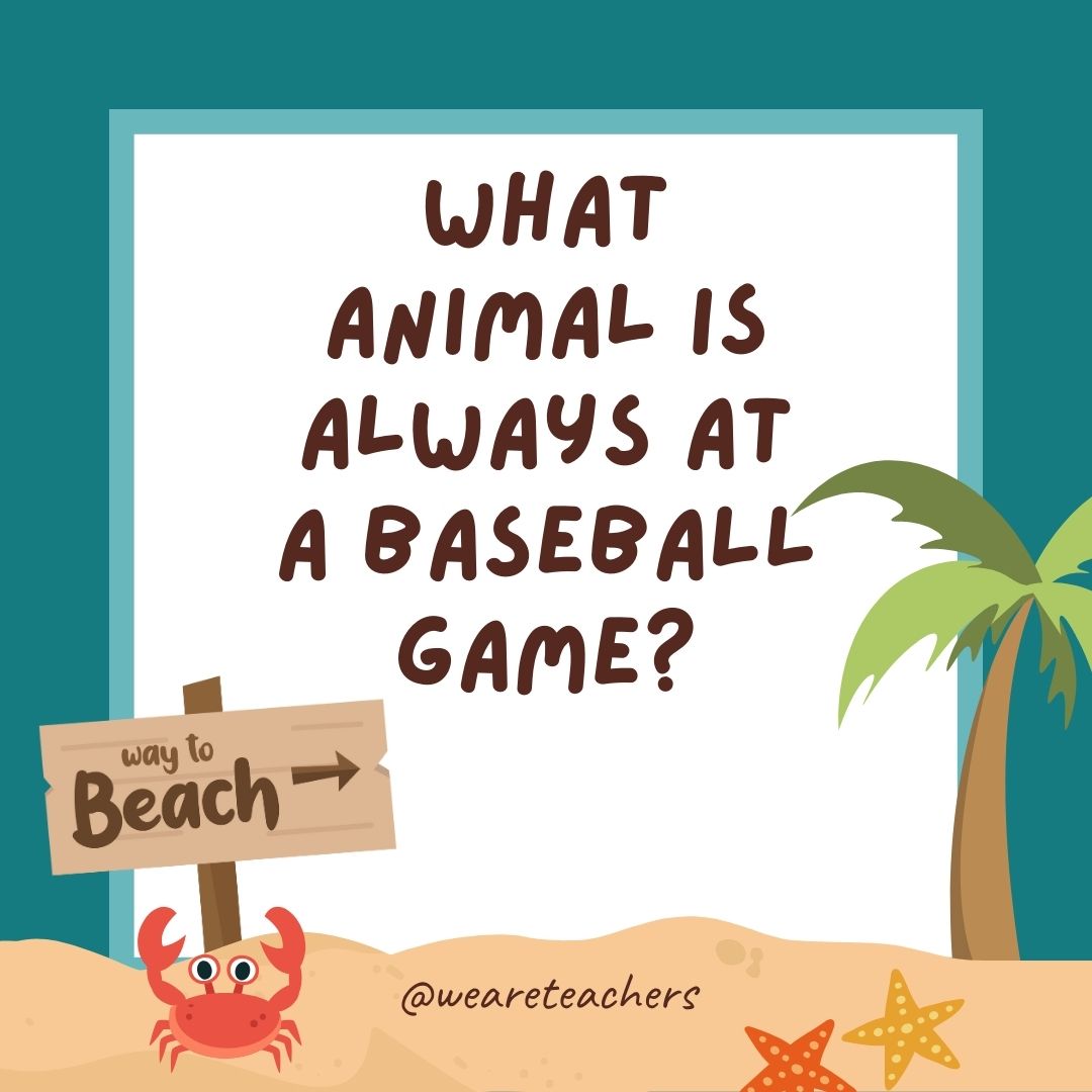 Funny Summer Jokes for Kids:What animal is always at a baseball game? A bat. Funny Summer Jokes for Kids:What animal is always at a baseball game? A bat.