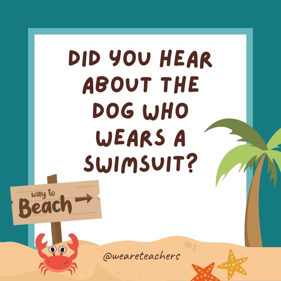 Did you hear about the dog who wears a swimsuit? Apparently, it looks quite fetching. Did you hear about the dog who wears a swimsuit? Apparently, it looks quite fetching.