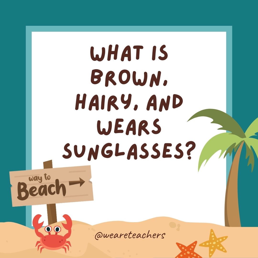 Jokes about summer: What is brown, hairy, and wears sunglasses? A coconut on vacation. Jokes about summer: What is brown, hairy, and wears sunglasses? A coconut on vacation.