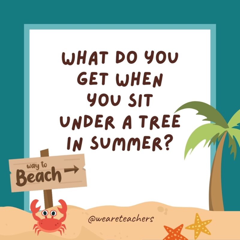 What do you get when you sit under a tree in summer? What do you get when you sit under a tree in summer?