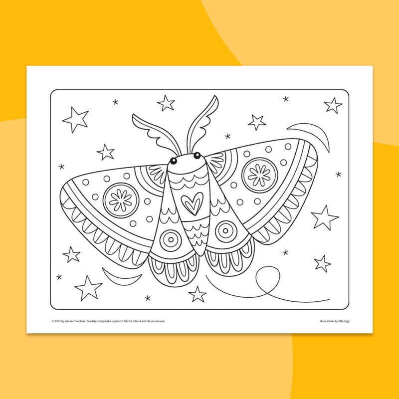 Bug & Insect Coloring Pages 3 moth coloring sheet