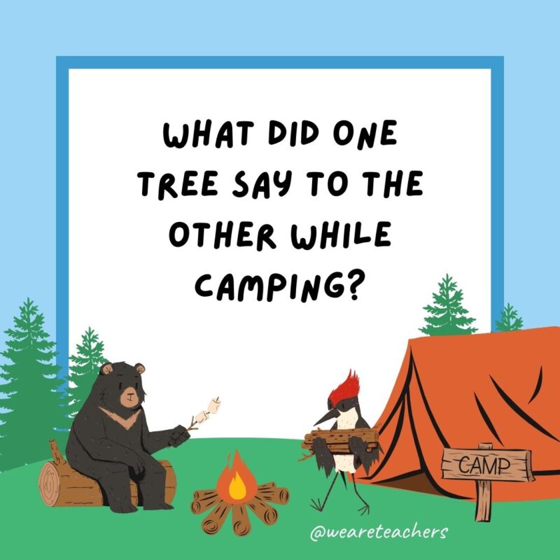 Camping jokes: What did one tree say to the other while camping? I’m falling for you! Camping jokes: What did one tree say to the other while camping? I'm falling for you!