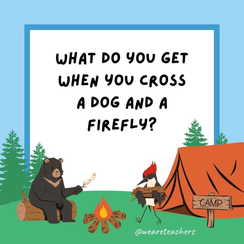 What do you get when you cross a dog and a firefly? A hot dog with a glowing personality. What do you get when you cross a dog and a firefly? A hot dog with a glowing personality.