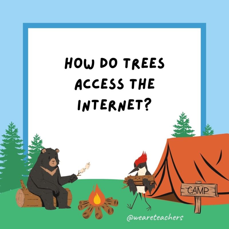 How do trees access the internet? They log in. How do trees access the internet? They log in.