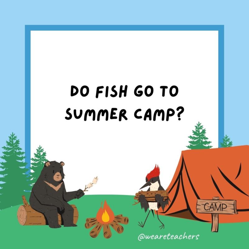 Do fish go to summer camp? No, they are always in school! Do fish go to summer camp? No, they are always in school!