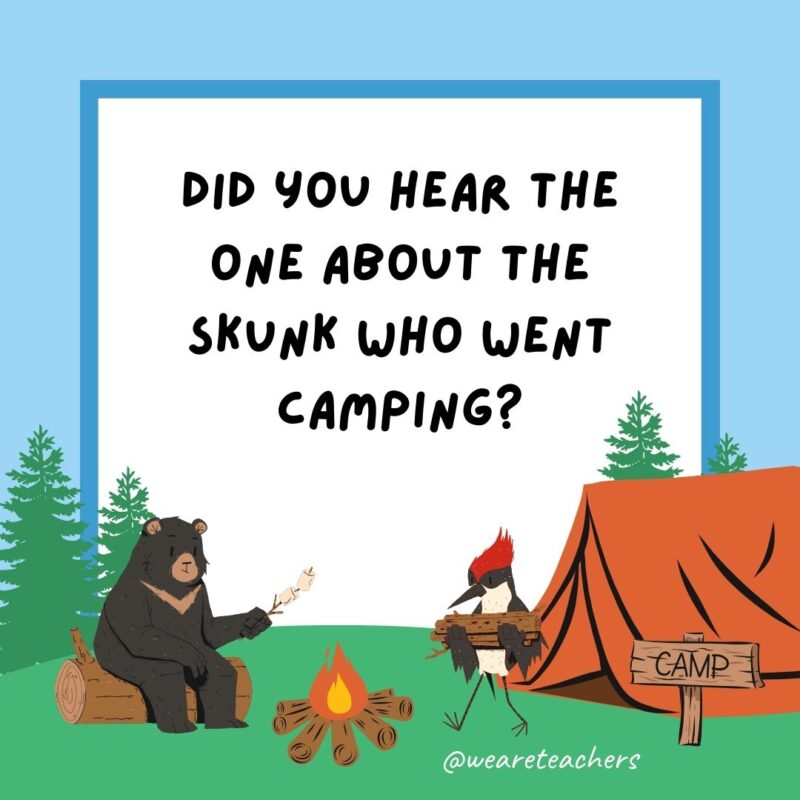 Did you hear the one about the skunk who went camping? Never mind, it really stinks. Did you hear the one about the skunk who went camping? Never mind, it really stinks.