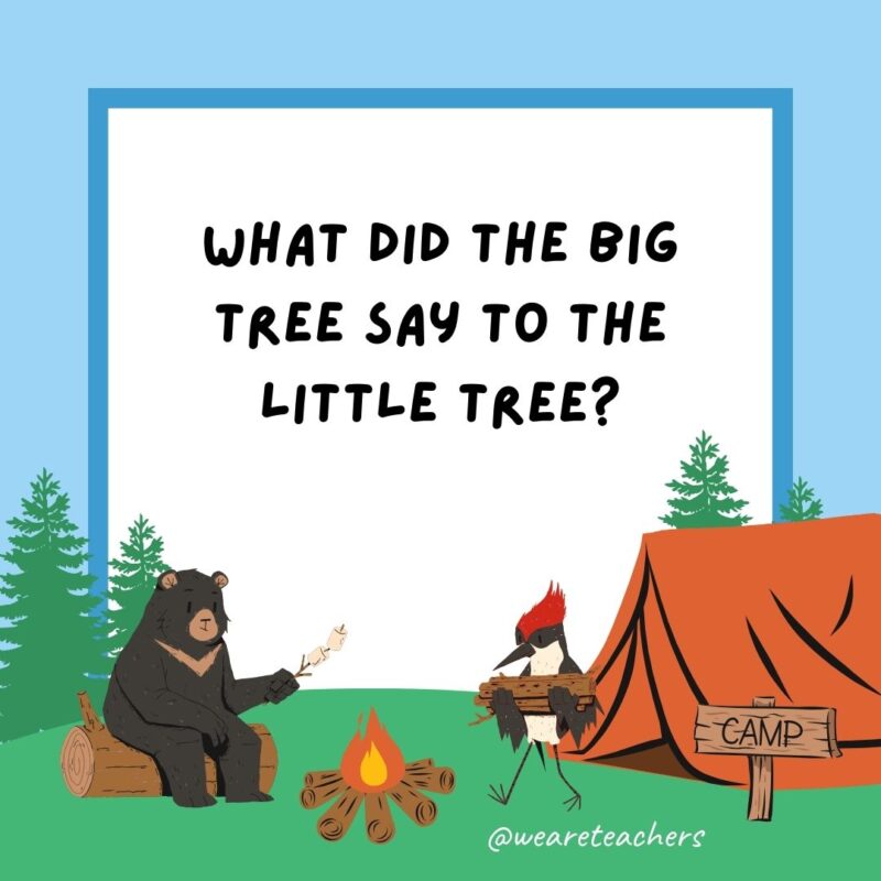Camping jokes: What did the big tree say to the little tree at summer camp? Leaf me alone, I’m branching out! Camping jokes: What did the big tree say to the little tree at summer camp? Leaf me alone, I’m branching out!