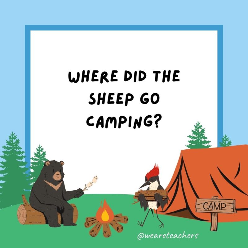 Camping jokes: Where did the sheep go camping? The Baa-hamas! Camping jokes: Where did the sheep go camping? The Baa-hamas!