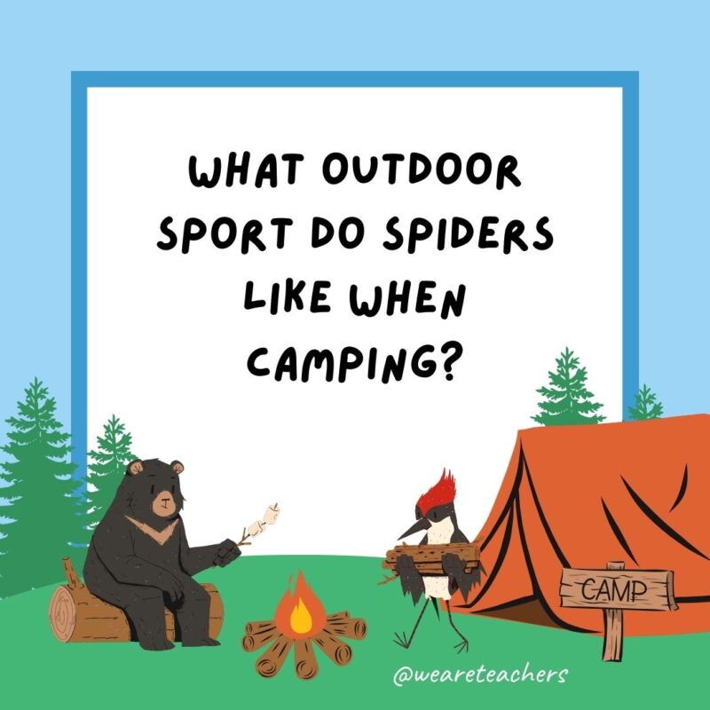 What outdoor sport do spiders like when camping? Fly fishing. What outdoor sport do spiders like when camping? Fly fishing.
