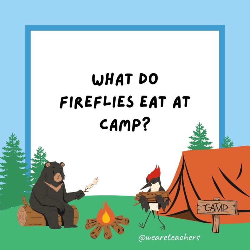 What do fireflies eat at camp? What do fireflies eat at camp?