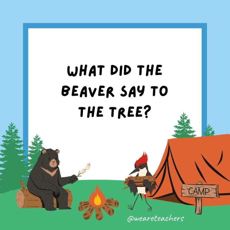 What did the beaver say to the tree? It’s been nice gnawing you. What did the beaver say to the tree? It’s been nice gnawing you.