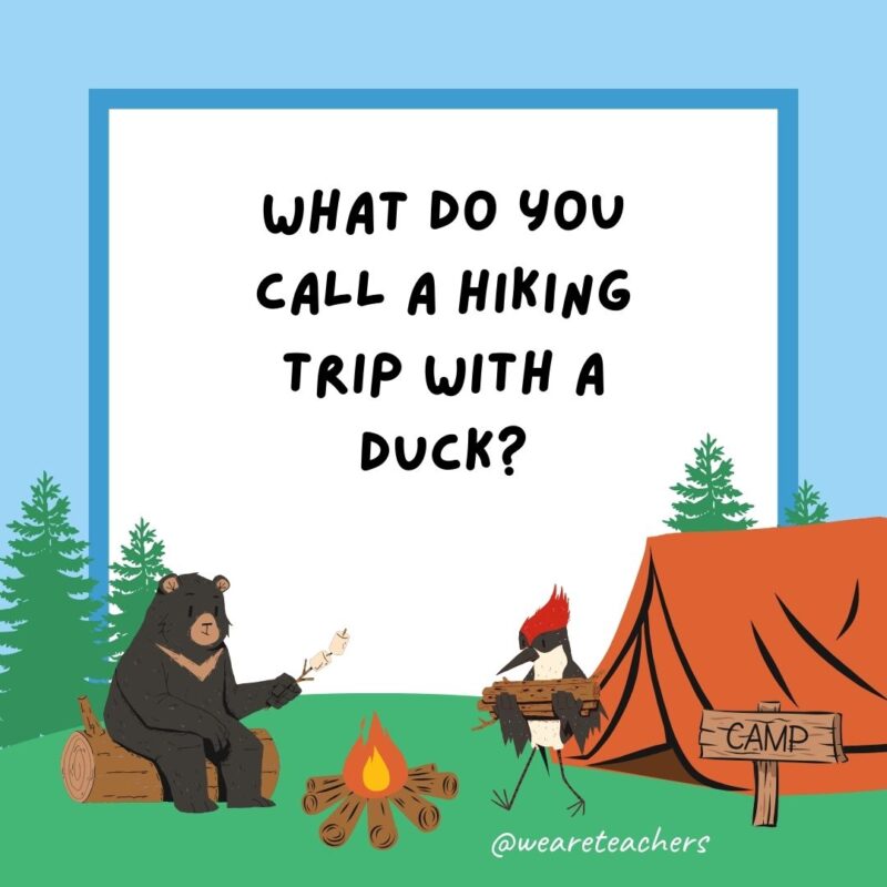 What do you call a hiking trip with a duck? What do you call a hiking trip with a duck?