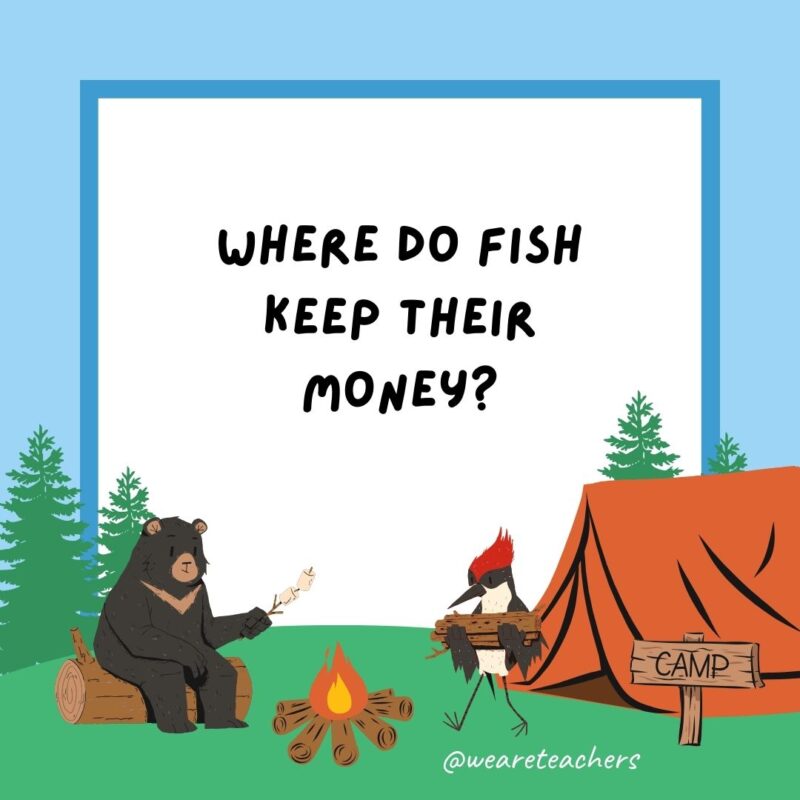 Where do fish keep their money? Where do fish keep their money?