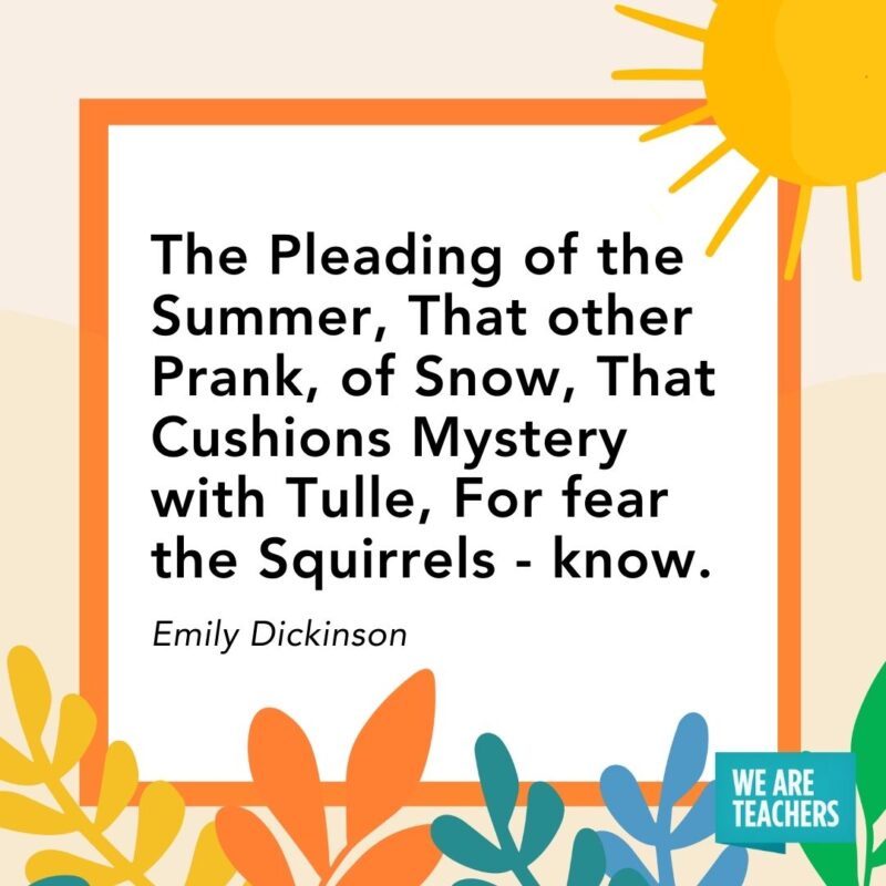The Pleading of the Summer, That other Prank, of Snow, That Cushions Mystery with Tulle, For fear the Squirrels – know. — Emily Dickinson The Pleading of the Summer, That other Prank, of Snow, That Cushions Mystery with Tulle, For fear the Squirrels - know. — Emily Dickinson