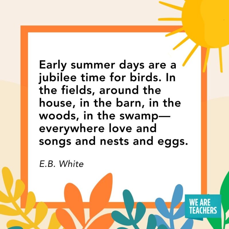 Early summer days are a jubilee time for birds. In the fields, around the house, in the barn, in the woods, in the swamp—everywhere love and songs and nests and eggs. — E.B. White Early summer days are a jubilee time for birds. In the fields, around the house, in the barn, in the woods, in the swamp—everywhere love and songs and nests and eggs. — E.B. White