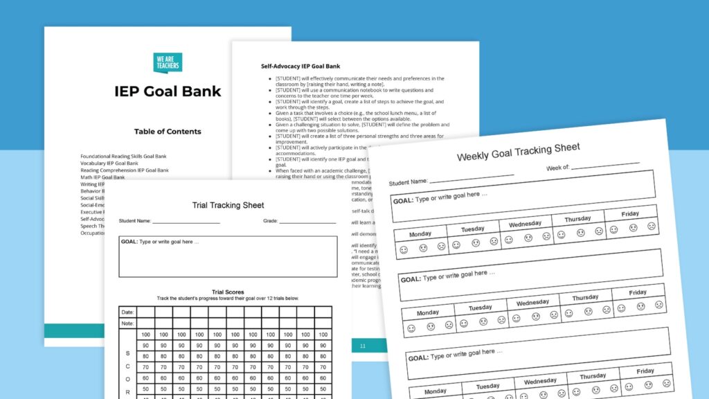 IEP Goals feature