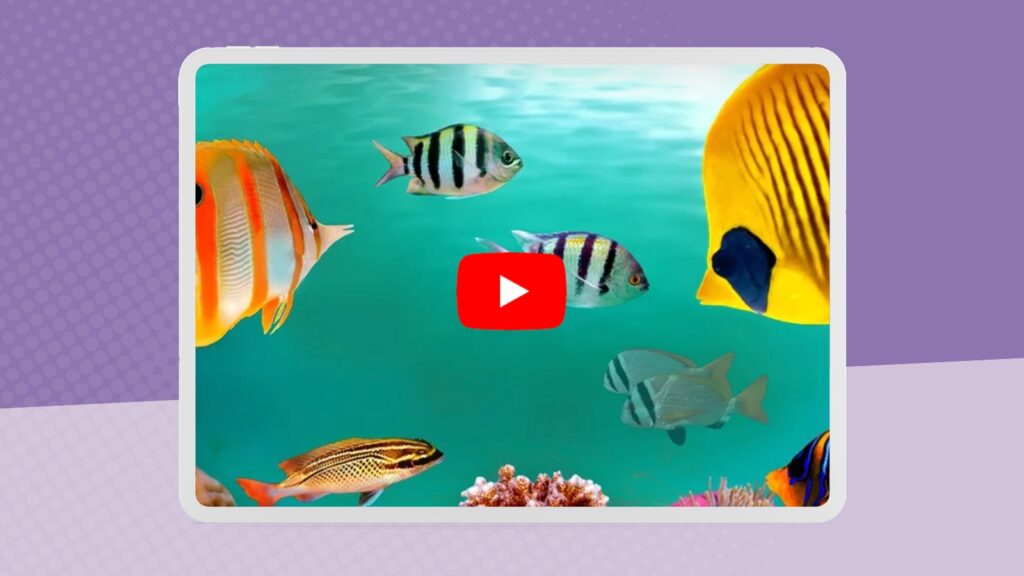 Best Relaxing Music for the Classroom