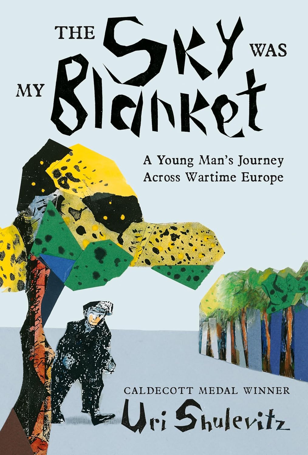 The Sky Was My Blanket book The Sky Was My Blanket book cover