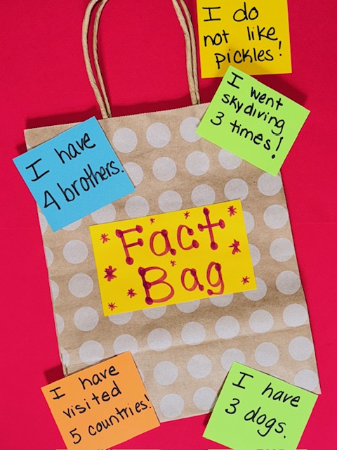 Fact Bag Fact Bag game