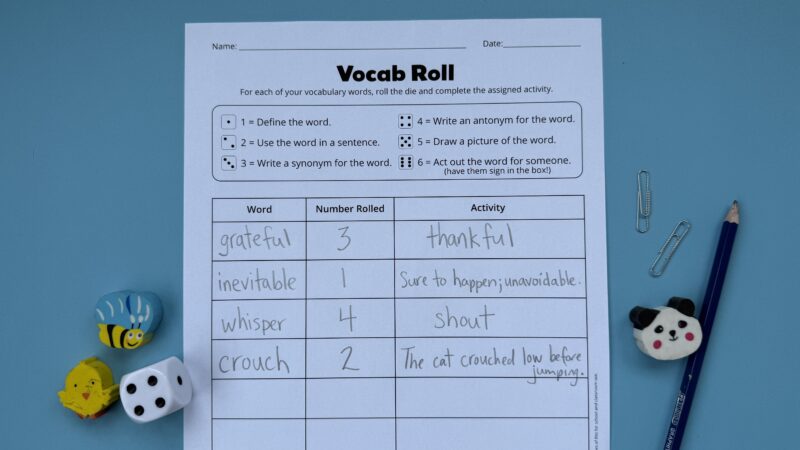 vocabulary activity vocab roll