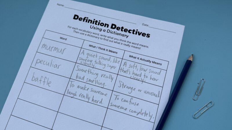 vocabulary activity definition detective