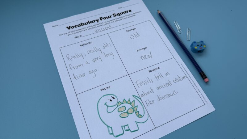 vocabulary activity vocabulary four square