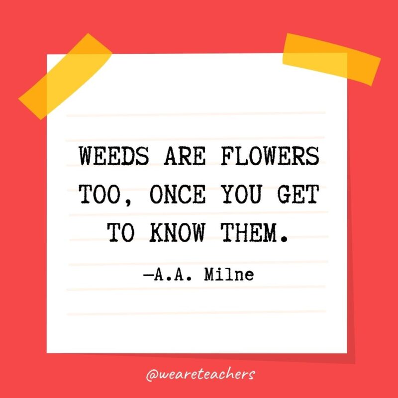 37 Weeds are flowers too, once you get to know them. —A.A. Milne