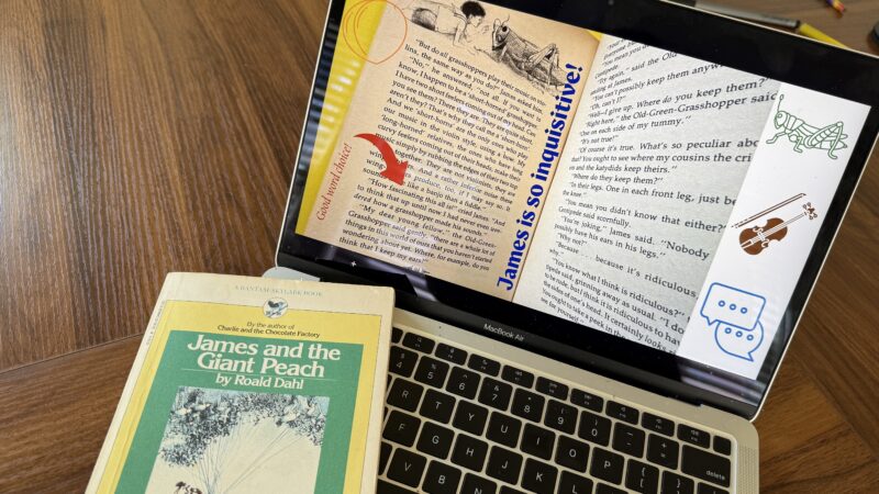 Book on computer open to BookSnaps, digital, visual representations of a reader's reflection on and insight into a book or other text.