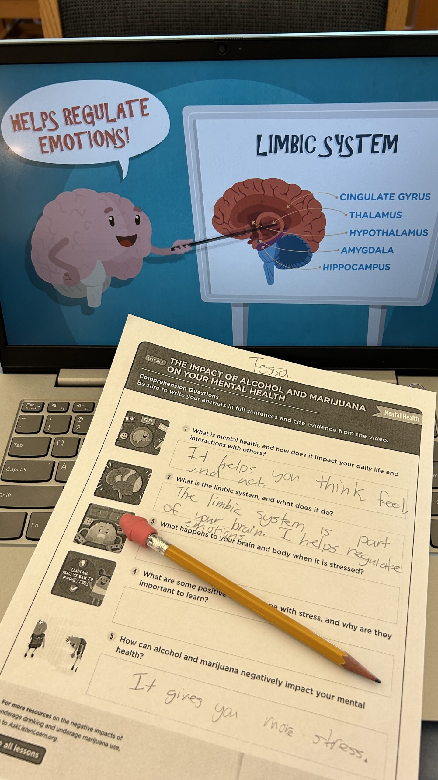 Image of video and worksheets from Ask, Listen, Learn lesson resources