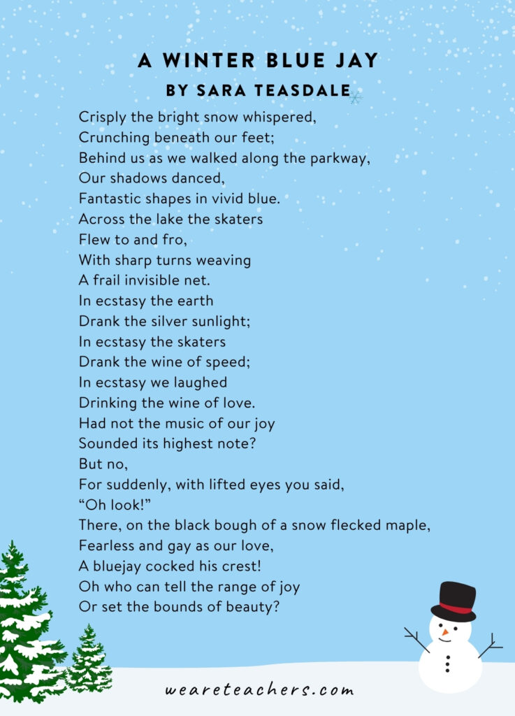 Winter Poems for Kids A Winter Blue Jay a picture of the poem