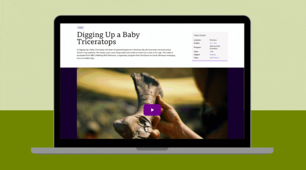 Walking With Dinosaurs Triceratops Dig Site Baby triceratops bone from the Walking With Dinosaurs science virtual field trip