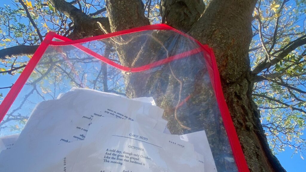 Photo of teacher Steffy McCourt's story walk