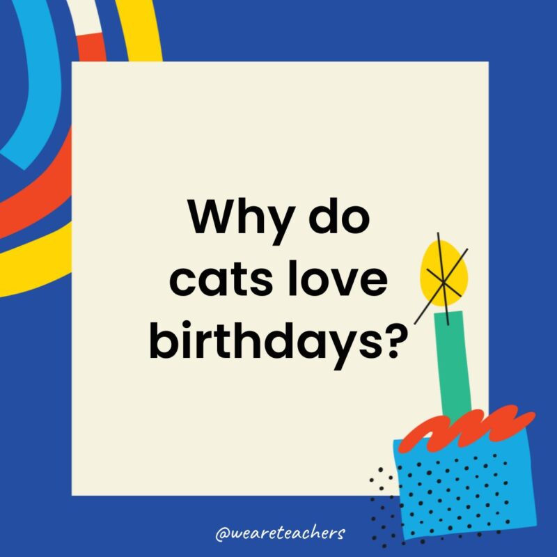 Birthday Jokes for Kids Why do cats love birthdays?