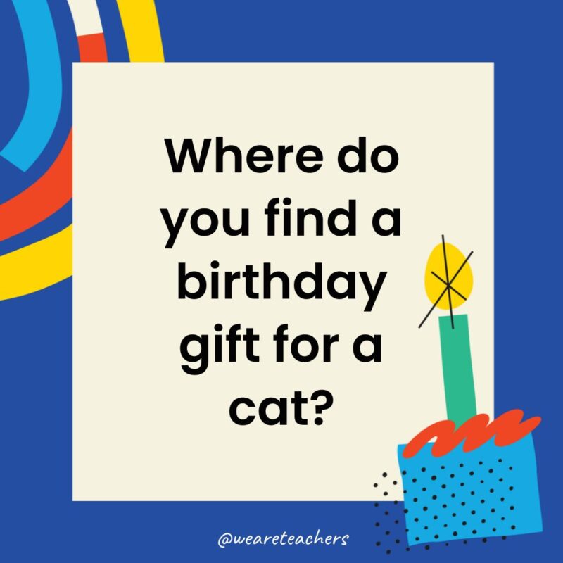 Birthday Jokes for Kids Where do you find a birthday gift for a cat?