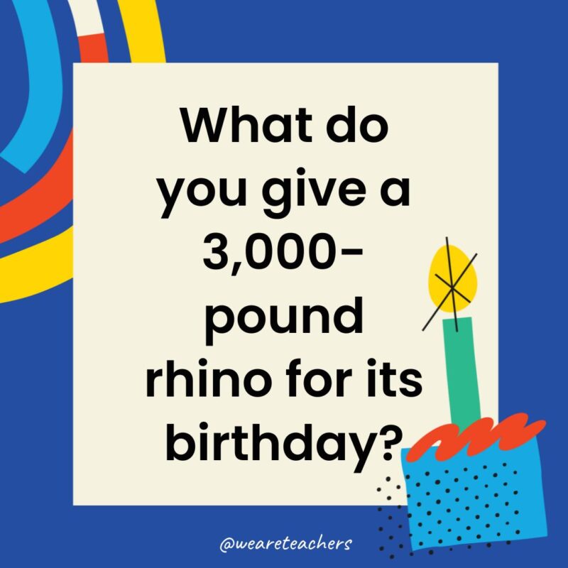 Birthday Jokes for Kids What do you give a 3,000-pound rhino for its birthday?