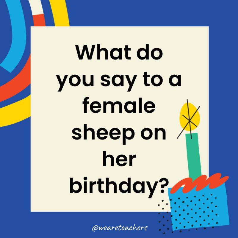 Birthday Jokes for Kids What do you say to a female sheep on her birthday?