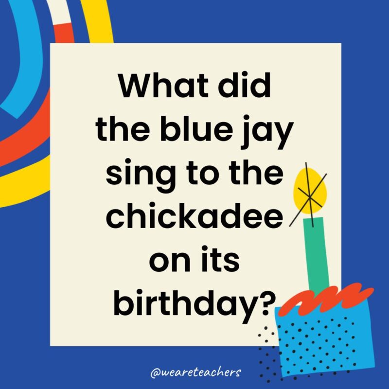 Birthday Jokes for Kids What did the blue jay sing to the chickadee on its birthday?