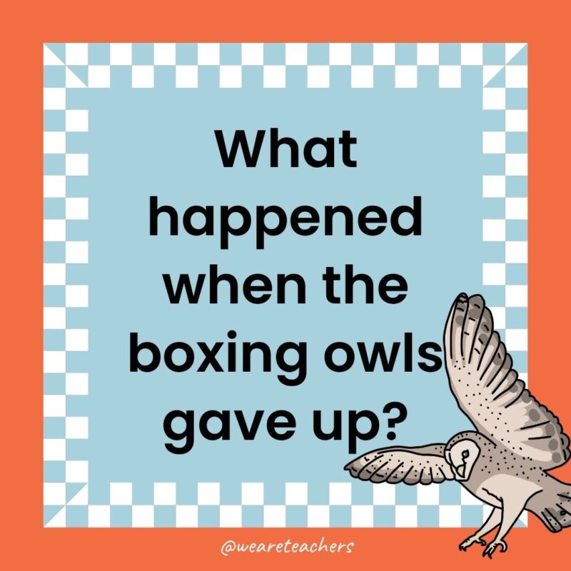 a joke that states: What happened when the boxing owls gave up?