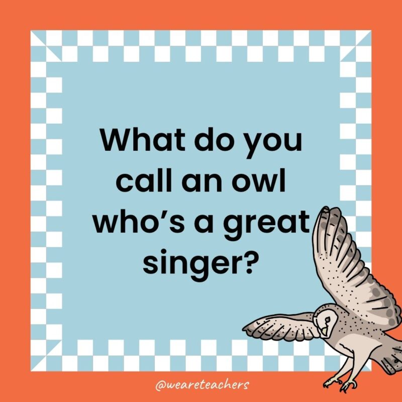 a joke that states: What do you call an owl who’s a great singer?