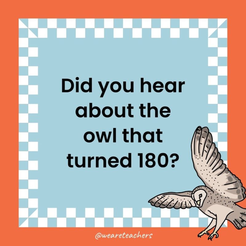 a joke that states: Did you hear about the owl that turned 180?
