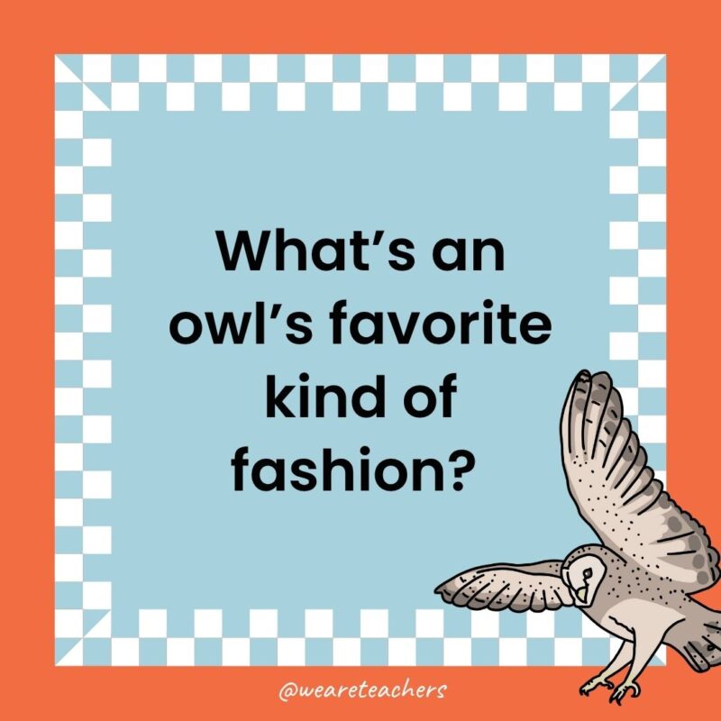 a joke that states: What’s an owl’s favorite kind of fashion? 