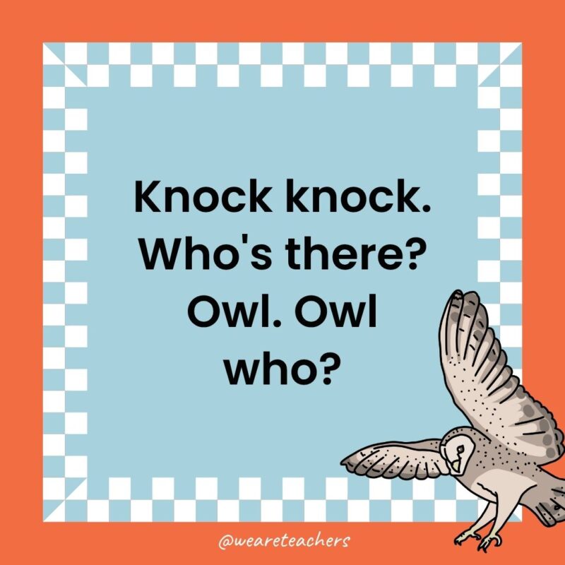 a joke that states: Knock knock. Who's there? Owl. Owl who?